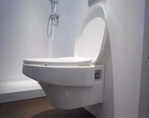 国产壁挂马桶测评视频,品质生活新选择，揭秘性价比之王